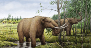 MEGAFAUNA DO PLEISTOCENO